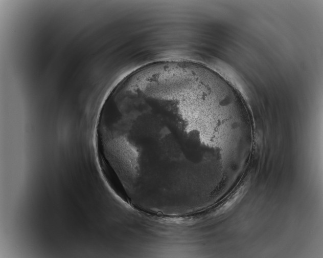 X0000094940855200712061230