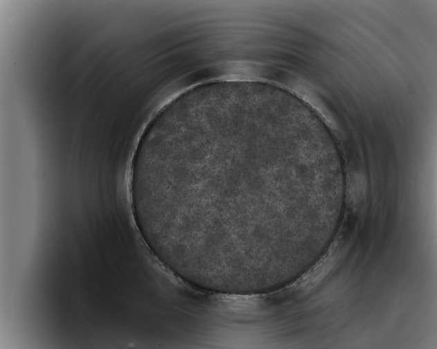 X0000094940856200712061230