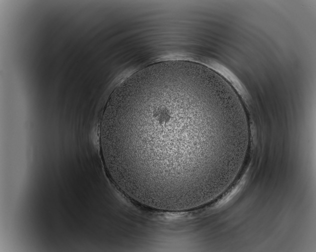 X0000094940857200712061230