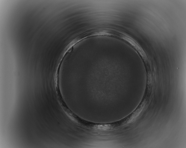 X0000094940858200712061230