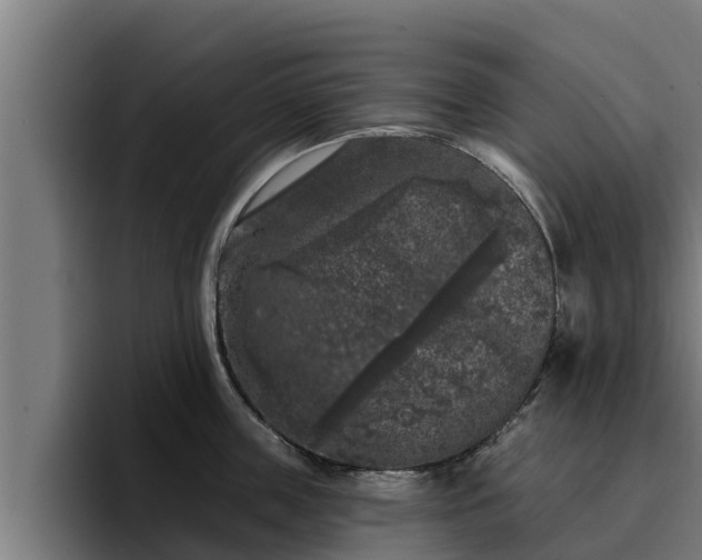 X0000094940859200712061230