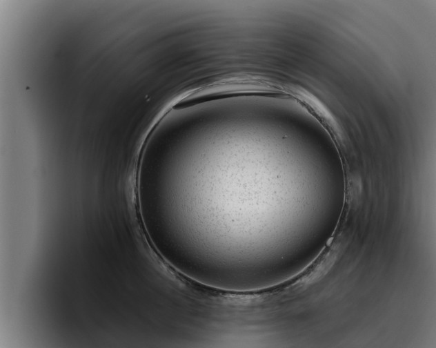 X0000094940860200712061230