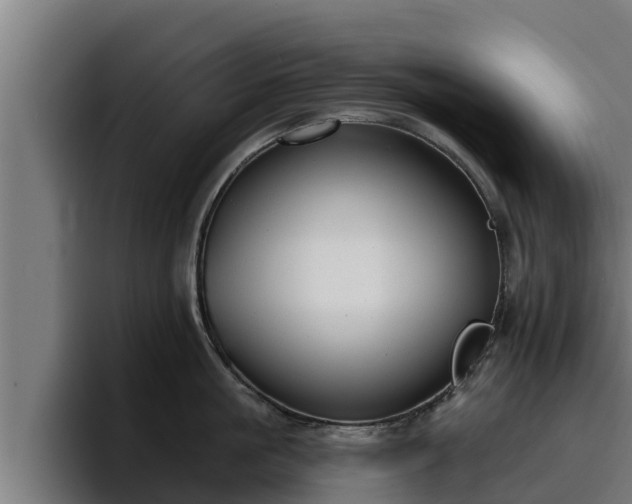 X0000094940861200712061230