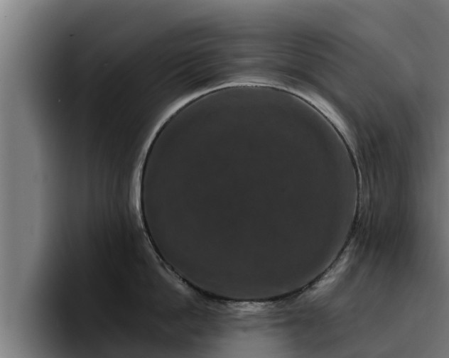 X0000094940862200712061230