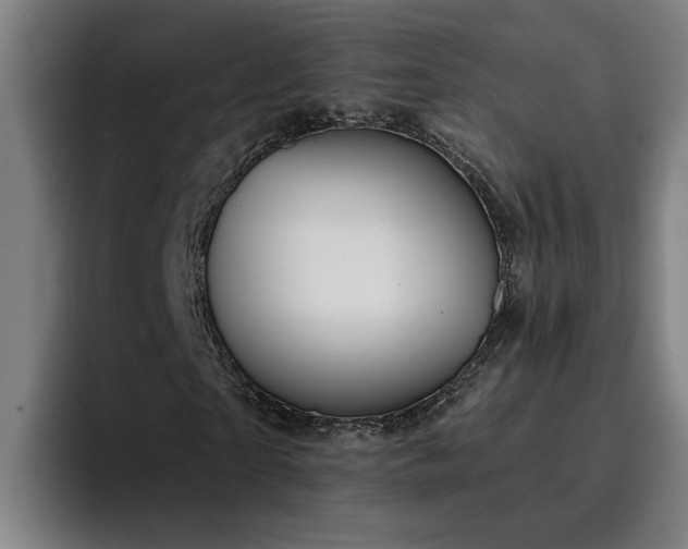 X0000094940865200712061229