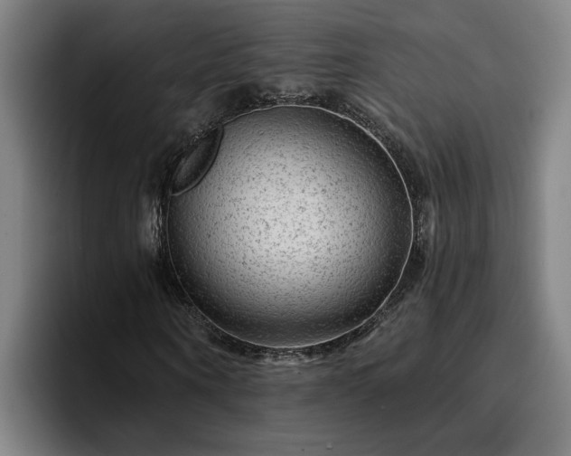 X0000094940866200712061229