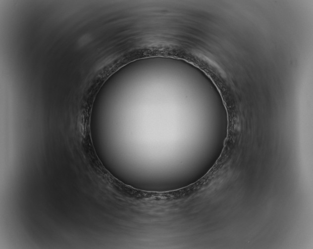 X0000094940869200712061229