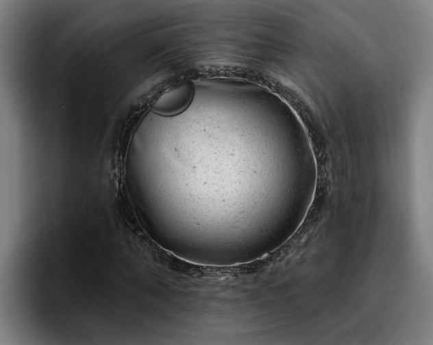 X0000094940870200712061229