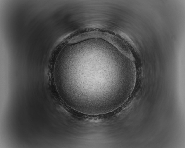 X0000094940872200712061229