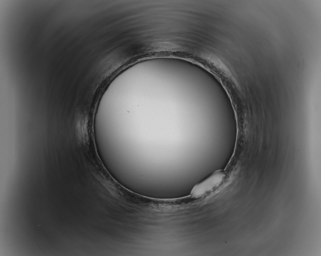 X0000094940873200712061229