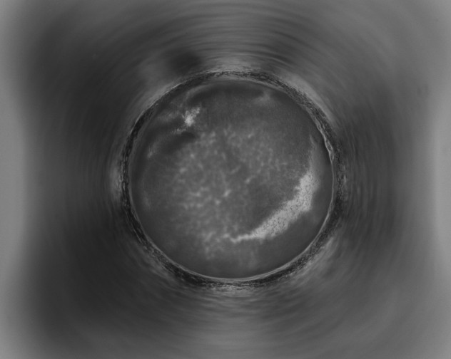 X0000094940874200712061229