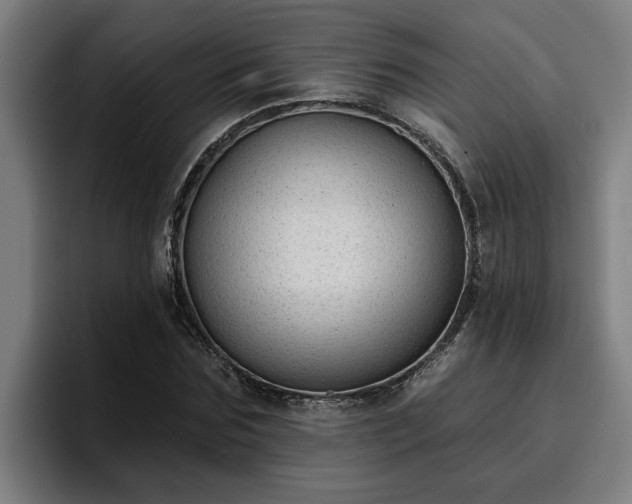 X0000094940875200712061229