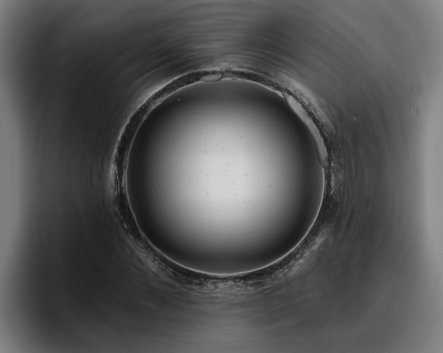 X0000094940876200712061229