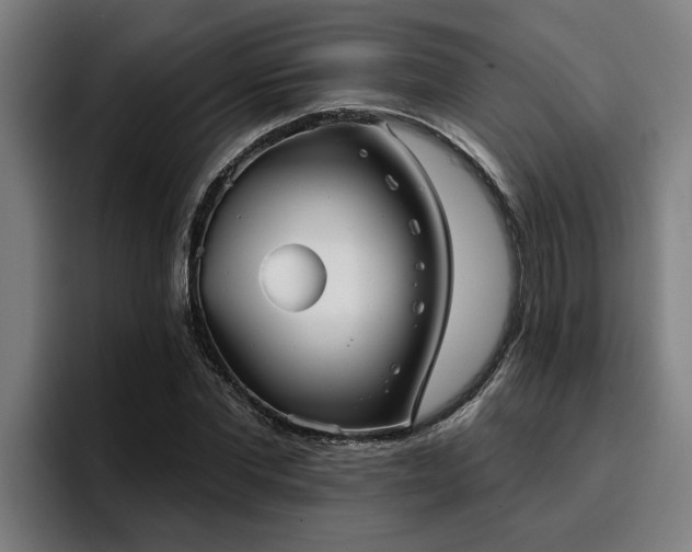 X0000094940877200712061229