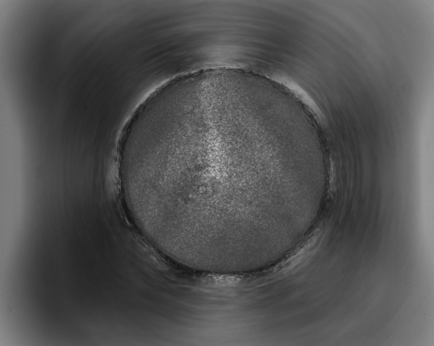 X0000094940878200712061229