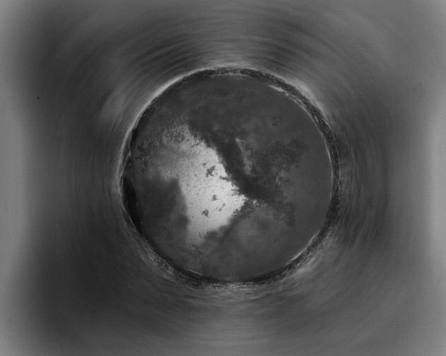 X0000094940879200712061229