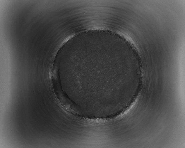 X0000094940881200712061229