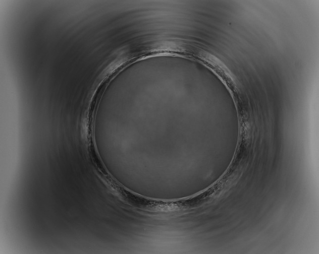 X0000094940882200712061229