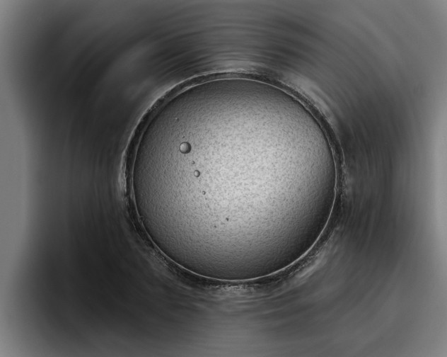 X0000094940883200712061229