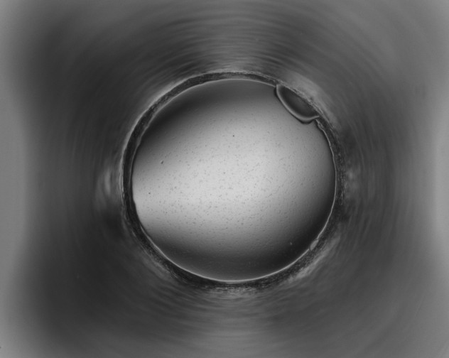 X0000094940884200712061229