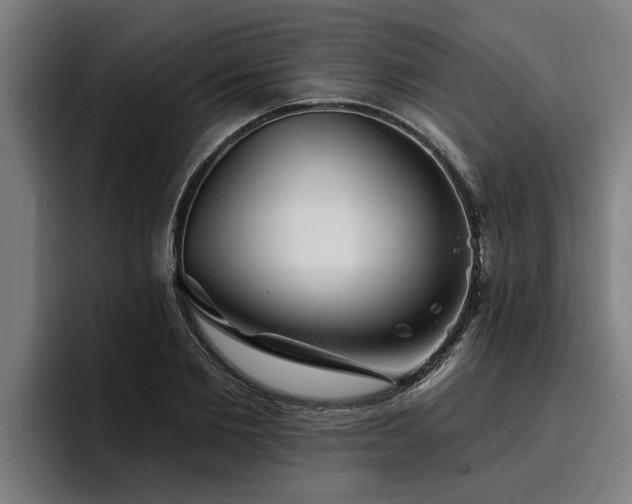 X0000094940885200712061229