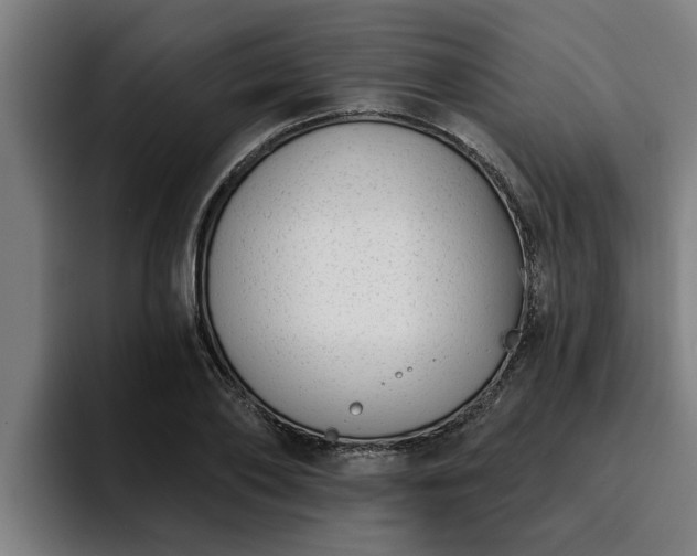 X0000094940886200712061229