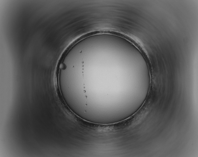 X0000094940887200712061229