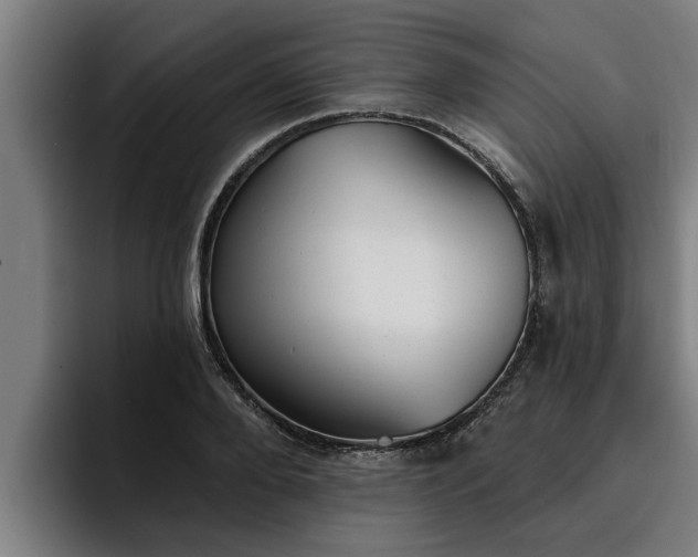 X0000094940888200712061229