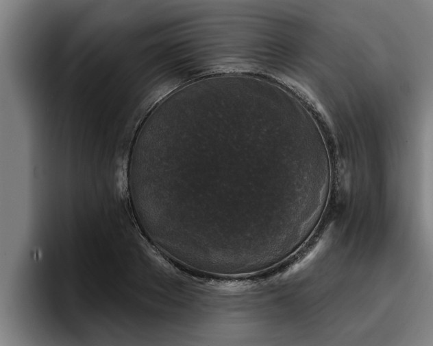 X0000094940889200712061229