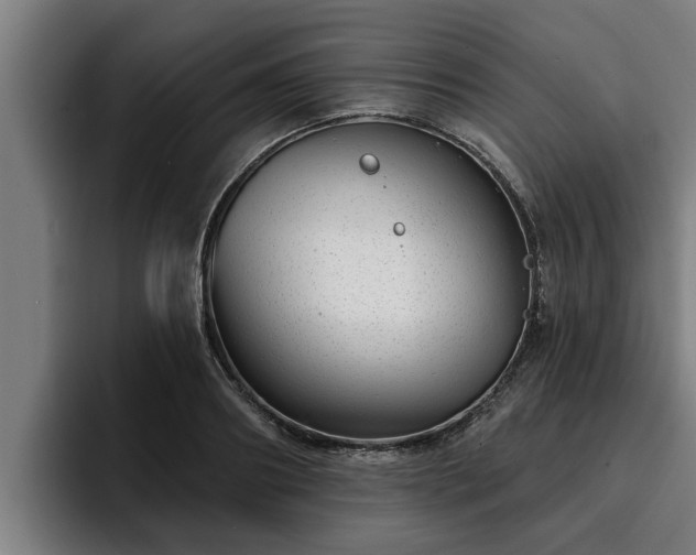 X0000094940890200712061229