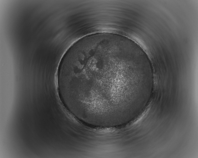 X0000094940891200712061229