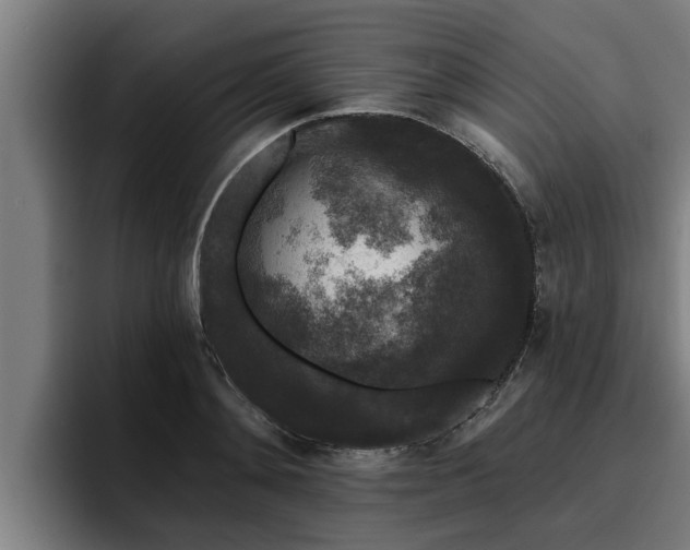 X0000094940892200712061229