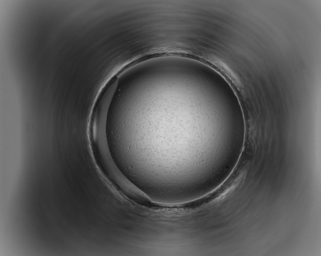 X0000094940893200712061229