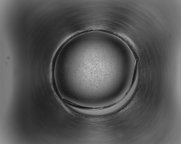 X0000094940894200712061229