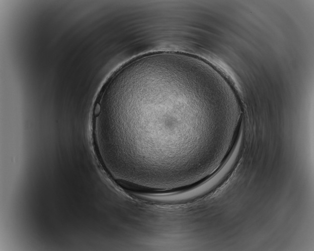 X0000094940896200712061229