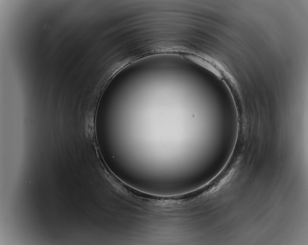 X0000094940897200712061229