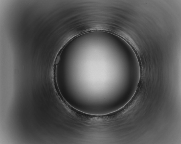 X0000094940898200712061229