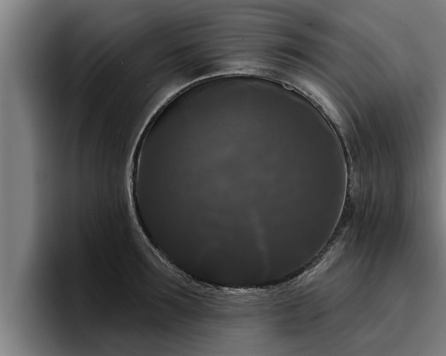 X0000094940899200712061229