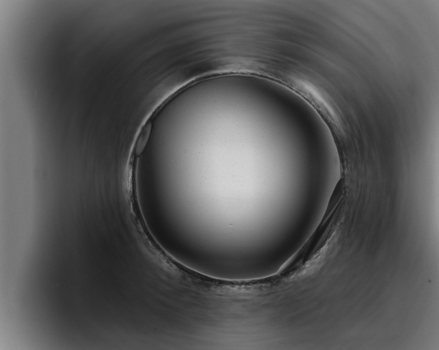 X0000094940900200712061229