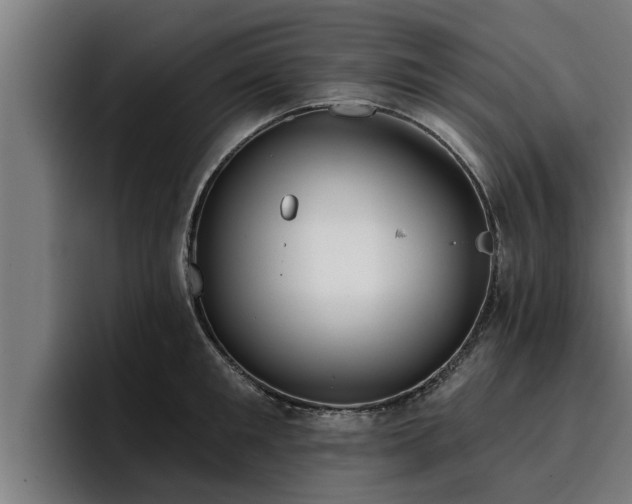 X0000094940901200712061229