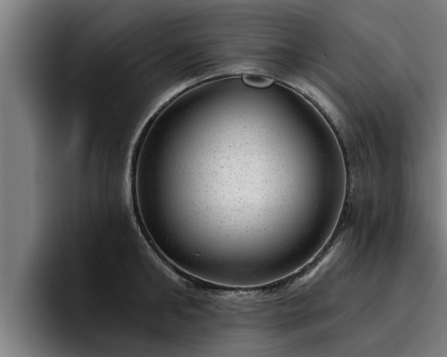 X0000094940902200712061229