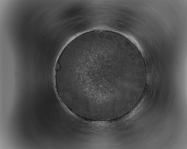 X0000094940903200712061229