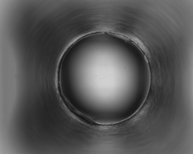 X0000094940904200712061229