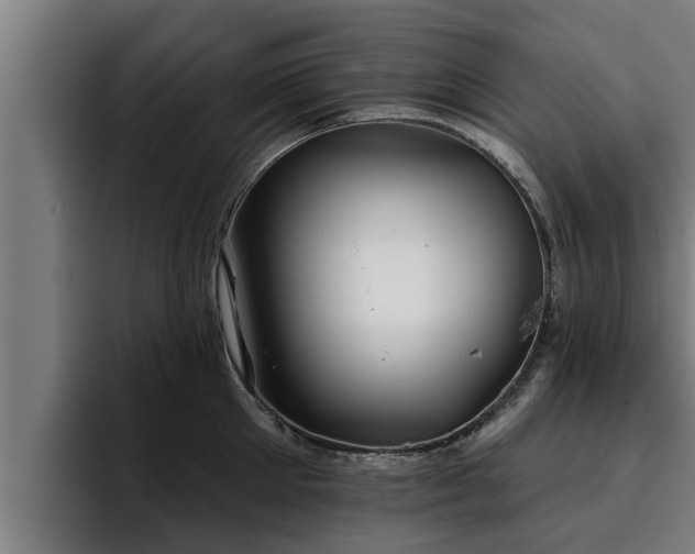 X0000094940905200712061229