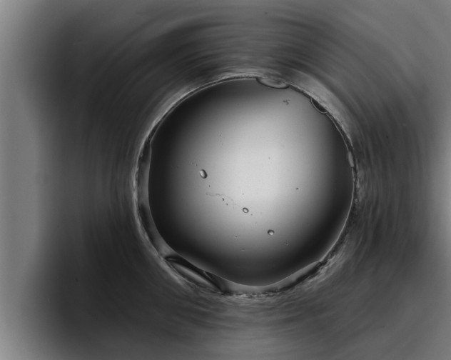 X0000094940906200712061229