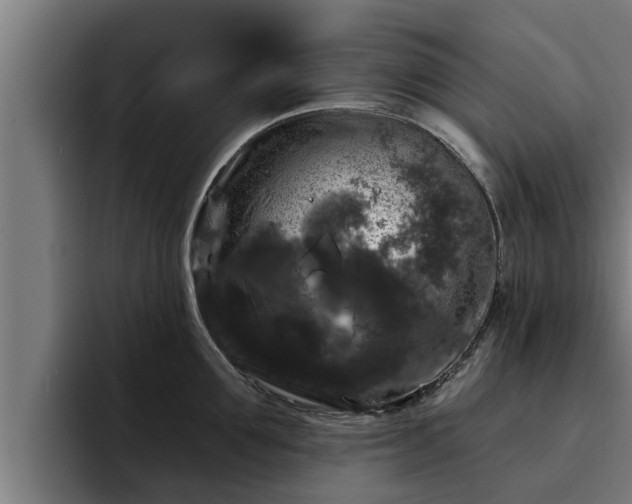 X0000094940907200712061229