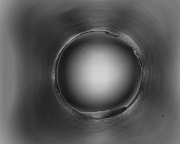 X0000094940908200712061229