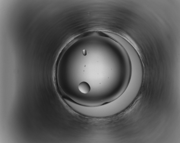 X0000094940909200712061228