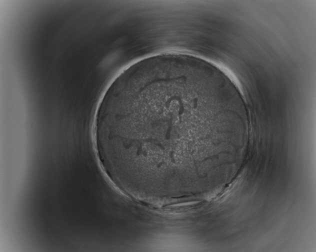 X0000094940911200712061228