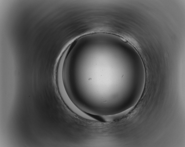 X0000094940912200712061228